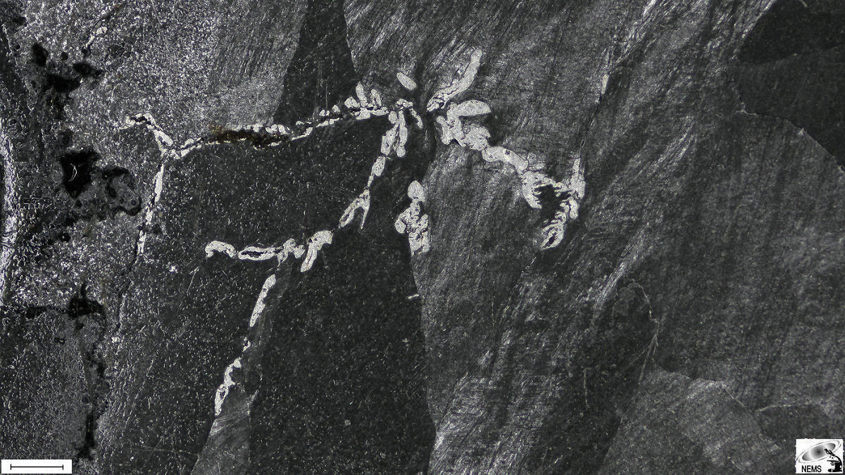 {short description of image}